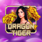 Dragon Tiger PH77 live casino